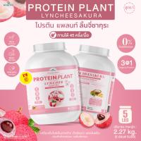 Protein Plant โปรตีนแพลนท์ สูตร 1 รสลิ้นจี่ ซากุระ (ขนาด 5 ปอนด์ 5LBS ปริมาณ 2.27 kg.) โปรตีนจากพืช 3 ชนิด ออแกรนิค โปรตีนจากข้าว ถั่วลันเตา มันฝรั่ง