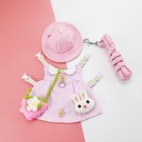 1 Set Pet Rabbit Princess Pink Clothes Hat Jewelry Costume Fine Workmanship Fabric Cartoon Pattern Adjustable Bunny Dress Dresses