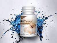 [1ขวด]Wit-Yeast 70 tablets Dietary supplements, vitamins, nourish skin,coat,muscles,excretory system,good taste dog breeds /อาหารเสริม วิตามิน บำรุงผิวหนัง บำรุงขน กล้ามเนื้อ ระบบขับถ่าย