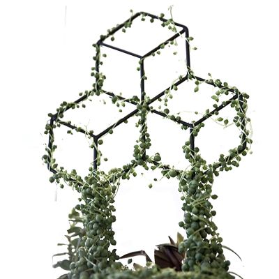 Lattice-Shaped Plant Trellis for DIY Potted Climbing Plants Support Flower Vegetables Rose Vine Pea Ivy Cucumbers Iron Metal
