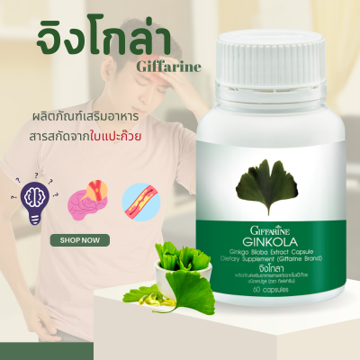 จิงโกล่า Ginkola giffarine แปะก๊วยแคปซูล แปะก๊วยกิฟฟารีน แปะก๊วยสกัด ผลิตภัณฑ์เสริมอาหาร