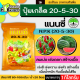 แนนซี่ 20-5-30 1กิโลกรัม (ปุ๋ยเกล็ดผง) เพิ่มปริมาณแป้ง เพิ่มความหวาน เพิ่มขนาดและสีสัน