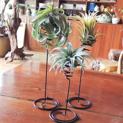3Pcs/Set Air Plant Holder 3 Sizes Air Plants Container Iron Flower Stand Tillandsia Holder for Displaying Home Office Desktop
