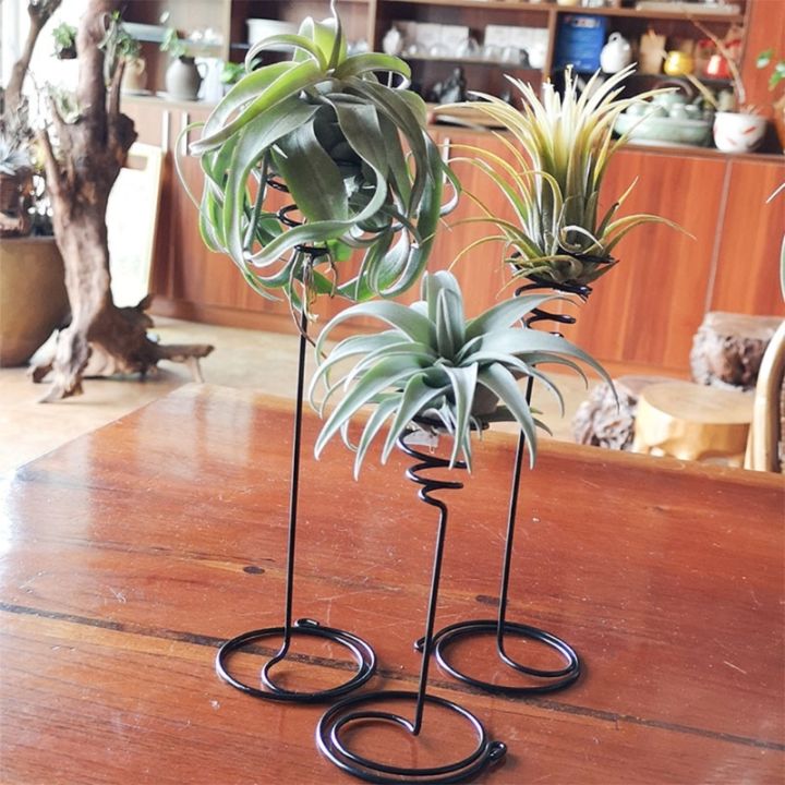 3pcs-set-air-plant-holder-3-sizes-air-plants-container-iron-flower-stand-tillandsia-holder-for-displaying-home-office-desktop