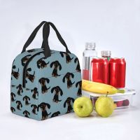 【YOYO Household Products】 Longhaired Dachshund Puppy Dog Lunch Bags Waterproof Insulated Oxford Cooler Bag Animal Thermal School Lunch Box For Women Girl