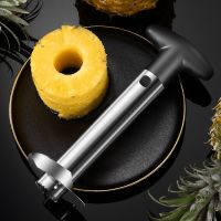 Stainless Steel Pineapple Slicers Spiral Knife Peeler Home Kitchen Fruit Platter Universal Corer Tool Restaurant Accessories Graters  Peelers Slicers