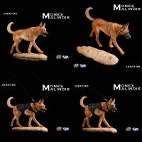 【hot】◎❃☎  1/6 Scale Figure Scene Accessories Dog JXK019 Malinois for 12 inches