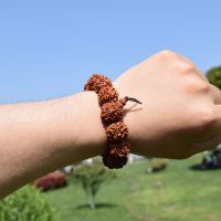 Fashion Nepal Rudraksha Men Bracelet Nature 18mm 6 Mukhi Rudraksha Beads Bracelets Men Handmade Buddha Meditation Jewelry Gifts