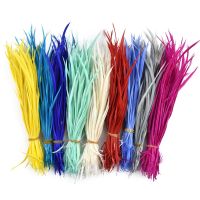 Colored Feathers for Hair Crafts Jewelry Making Fly Tying Materials Decoration Carnaval Catcher