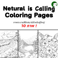 ภาพระบายสีฝึกสมาธิ สำหรับผู้ใหญ่ ชุด Natural is Calling Coloring Pages V.1