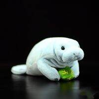 Manatee ตุ๊กตาวัวทะเลจำลองน่ารักตุ๊กตาหนานุ่มนิ่ม,ตุ๊กตาวัวทะเล Trichechu สัตว์ยัดไส้สัตว์ Hydrodamalis Gigas Ks ของขวัญ