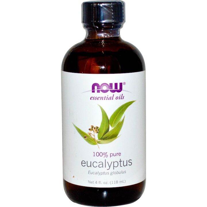 Now Foods Eucalyptus Essential Oil 118ml | Lazada PH