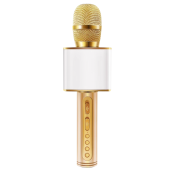Micro karaoke không dây bluetooth kiêm loa nghe nhạc 3 trong 1 PF391 Gold