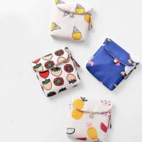 Cartoon Cute Fruit Coin Purse Girl Earphone Storage Bag Fruit Coin Case High Quality Purse Small Fresh Mini Wallet