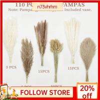 หญ้า Pampas แห้ง Boho N73VHRHM สีขาวน้ำตาล17นิ้วหญ้ากกธรรมชาติการจัดดอกไม้สวยนุ่มฟูของตกแต่งงานแต่งงานหญ้า