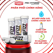 Endurolytes Fizz Hammer Nutrition