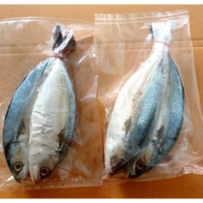 ปลาทูมัน ปลาทูเค็ม ไซส์จัมโบ้ ถูกที่สุดจริงๆ 500 กรัม