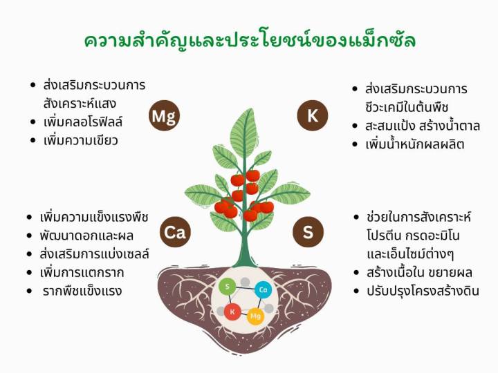 กิฟฟารีน-แม็กซัล-สารปรับปรุงดิน-สารปรับสภาพดิน-สารอินทรย์ปรับปรุงดิน-โพลี่ฮาไลท์-100-ขนาด-25-กิโลกรัม