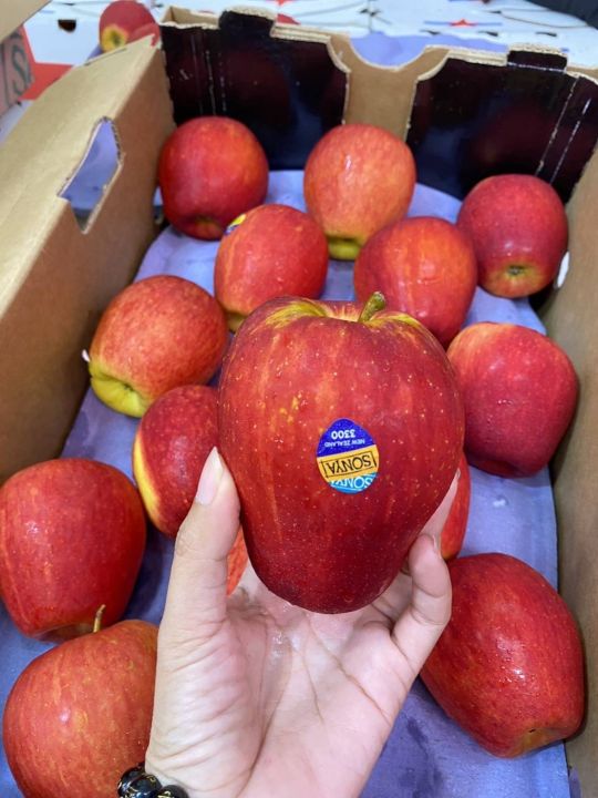 แอปเปิ้ล-ซอนย่า-นิวซีแลนด์-sonya-nz-30-35-ลูก-ลัง-นำเข้าจากนิวซีแลนด์