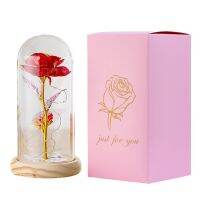 หมายเลขของขวัญคริสต์มาสประดิษฐ์ Eternal Rose Beauty And The Beast Galaxy ดอกไม้พร้อมไฟในโดม Decor วันวาเลนไทน์งานแต่งงาน Gift