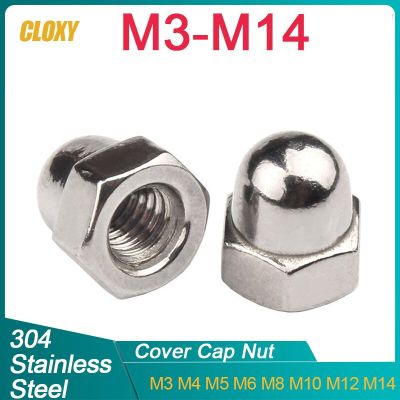 5/ 10/ 20/ 50pcs M3 M4 M5 M6 M8 M10 M12 M14 Acorn Cap Nut 304 Stainless Steel Decorative Covers DIN1587 Nails Screws Fasteners
