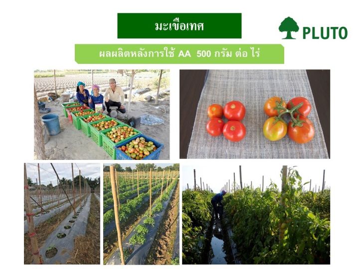 เอเอโปรซอย-500-กรัม-สารปรับปรุงดินชนิดแกรนูล