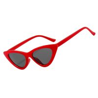 【cw】 Cat Eye Sunglasses Women Fashion Small Frame Sun Glasses for Men Eyewear UV400