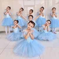 ☫ Ruoru Girls Ballet Tutu Dress Kids Children Tulle Ballet Dance Gymnastics Leotard Dress for Performance Dancewear