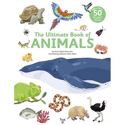 Free Shipping ร้านแนะนำ[หนังสือ] The Ultimate Book of Animals สัตว์ สัตว์ป่า animal ภาษาอังกฤษ english book