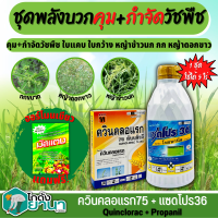 ? ชุด2พลังบวก แซดโปร36+ควินคลอแรก75 ขนาด 1ลิตร+100กรัม คุม+กำจัดวัชพืช ฟรีมัสแตง1ซอง