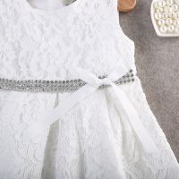 hilittlekids Flower Girl Dresses Lace Flower Birthday Wedding Bridesmaid Formal