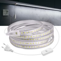 120 LEDs/m High Bright LED Strip Light 2835 SMD 110V US Plug 220V EU Plug Indoor Outdoor Lighting Room Decoration Lamp