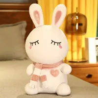 Cute Little White Rabbit Plush Toy Rabbit Ragdoll Doll Girls Bed Sleeping Children Girlfriends Birthday Gift