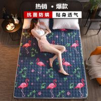 Machine washable mattress tatami Queen King mattress anti-slip protection mat bed cover mattress student dormitory four seasons universal mat single double