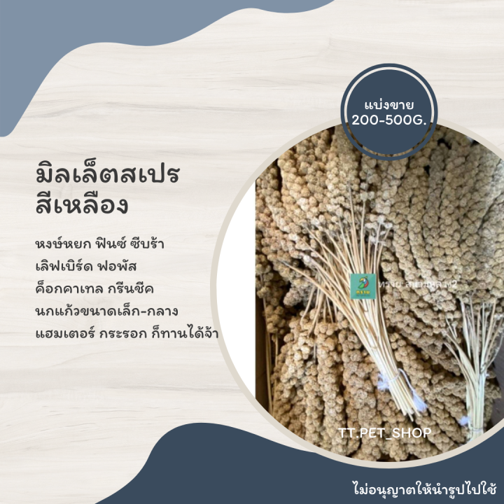 มิลเล็ตสเปร-สีแดง-เหลือง-แบ่งขาย-200-500-g-สำหรับนกแก้ว-และ-แฮมเตอร์