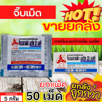 ? ?? สินค้ายกกล่อง ?? จิ๊บเม็ด (กรดจิบเบอร์เรลลิคแอซิด) ขนาด 5กรัมx50เม็ด จิ๊บยืดยอด ยืดช่อ ยืดผล