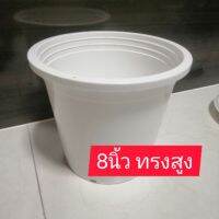 กระถางขาว 8 นิ้ว เนื้อAA แข็งกว่าแบบเก่า