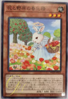 [POTE-JP018] Vernalizer Fairy of Flowers and Fields (Common)