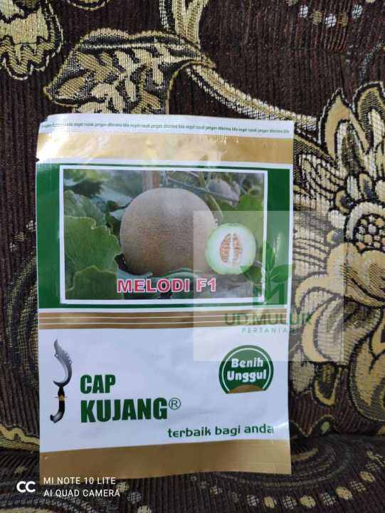 Benih melon MELODI F1 isi 500 biji dari CAP KUJANG Lazada Indonesia