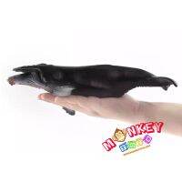 Monkey Toys - โมเดลสัตว์ Whale Humpback ปลาวาฬ หลังค่อม ขนาด 28.00 CM (จากหาดใหญ่)