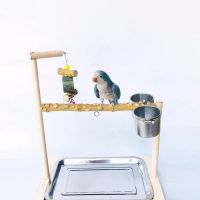 [COD] Small and medium-sized parrot stand frame solid bird shelf tiger skin peony Xuanfeng desktop