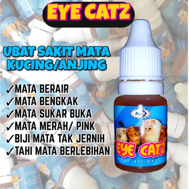 Ubat Mata Kucing Eye Catz Bam E 10ml Lazada