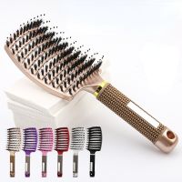 1Pcs Original Hair Brush Hair Comb Detangling Hair Brush Detangle Lice Massage Comb Women Tangle Hairdressing Salon