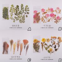 6 SheetsSet Waterproof Retro Flower Stickers Decorative Colorful Floral for Scrapbooking Arts Crafts Album Journal