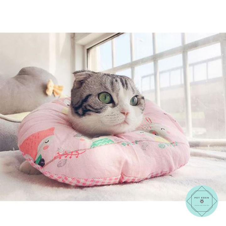 ปลอกคอกันเลียแบบนิ่ม-soft-collar-cone-for-cat-ปลอกคอกันเลีย-ปลอกคอแมว-ปลอกคอหมา-ปลอกคอกันเลียแมว-ปลอกคอกันเลียหมา