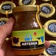 Artemia Ấp Sẵn UHT Thanh Trùng + Ống Hút Artemia - Thức ăn cá bột