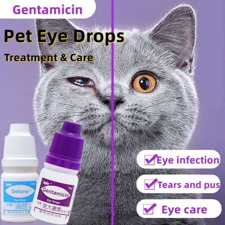 ♥Koalo Baby♥Pets Eye Drops For Cats and Dogs and Eye Infection Better