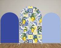 jfjg❒  Positano Tiles Arch Backdrop Covers for Parties Arched Stretchy Fabric Cover Props