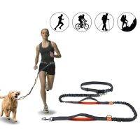 Hands Free Dog Leash Elastic Dog Running Belt Pet Bungee Rope Leashes Reflective Jop Dogs Training For Medium Large Dog Supplies Leashes