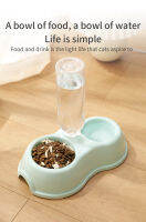 High Quality ABS 2 in 1  food and water pet feeder